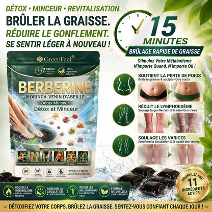 法☘️ GreenFeel® Berbérine, Moringa & Venin d’Abeille – Perles Détox Minceur pour Bain de Pieds, soutenant la gestion du poids, le drainage lymphatique, une circulation saine, le bien-être féminin et une peau visiblement plus ferme. 🔥